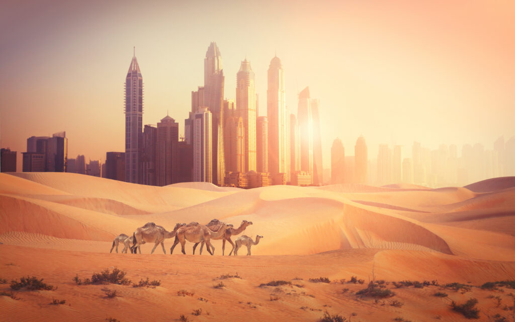 Dubaï en hiver