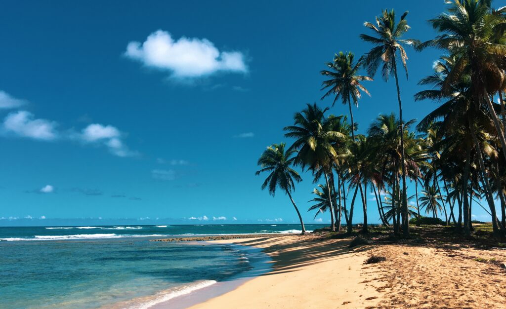 Partir en décembre au soleil en République dominicaine
