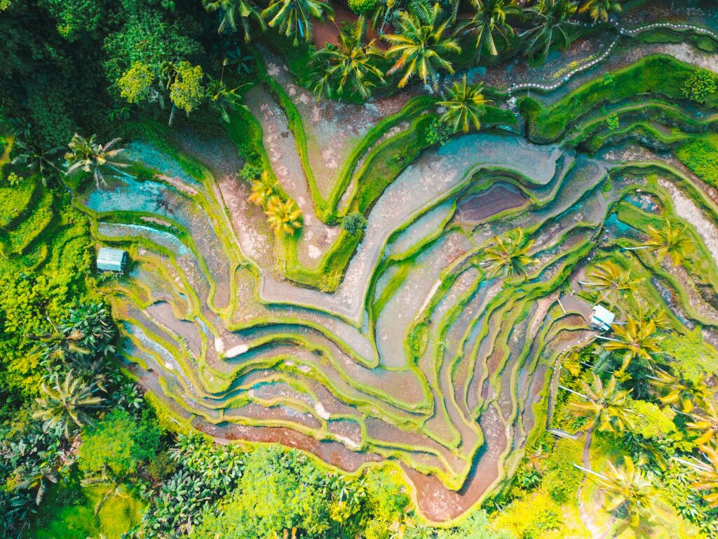 Bali en juillet