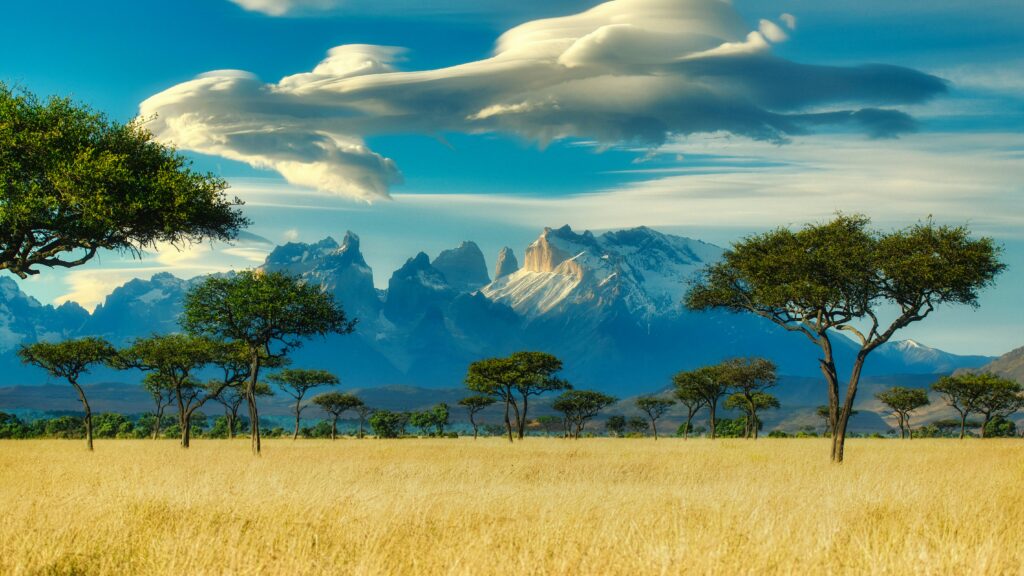 kenya en juin