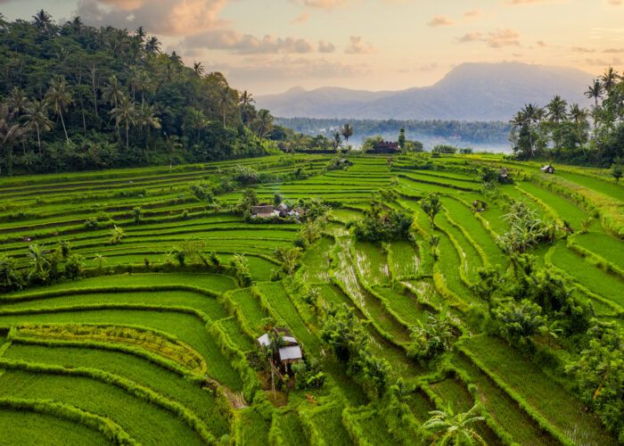 quand partir à bali