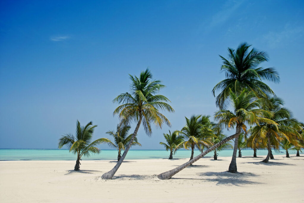 République dominicaine, plage de sable blanc en hiver