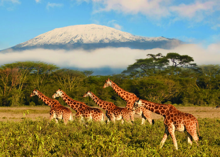 Excursion Kenya