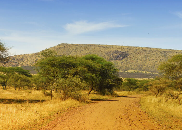 Tanzanie