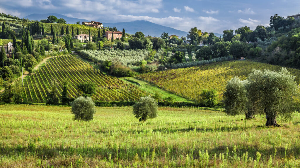 La Toscane - Italie