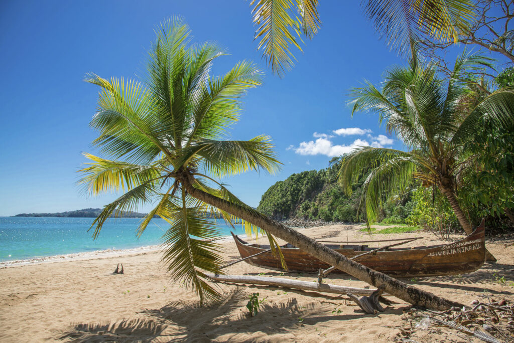 Plage  avec cocotiers - Guadeloupe