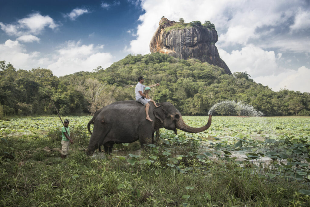Meilleure destination pour la Balade à dos d'éléphants - Sri Lanka