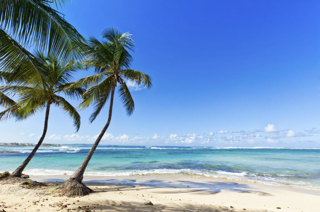 Plage Sauvage - Guadeloupe