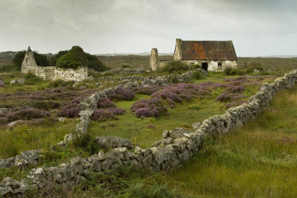 Circuit Irlande et Ecosse