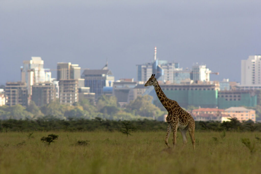 circuit Kenya - Nairobi