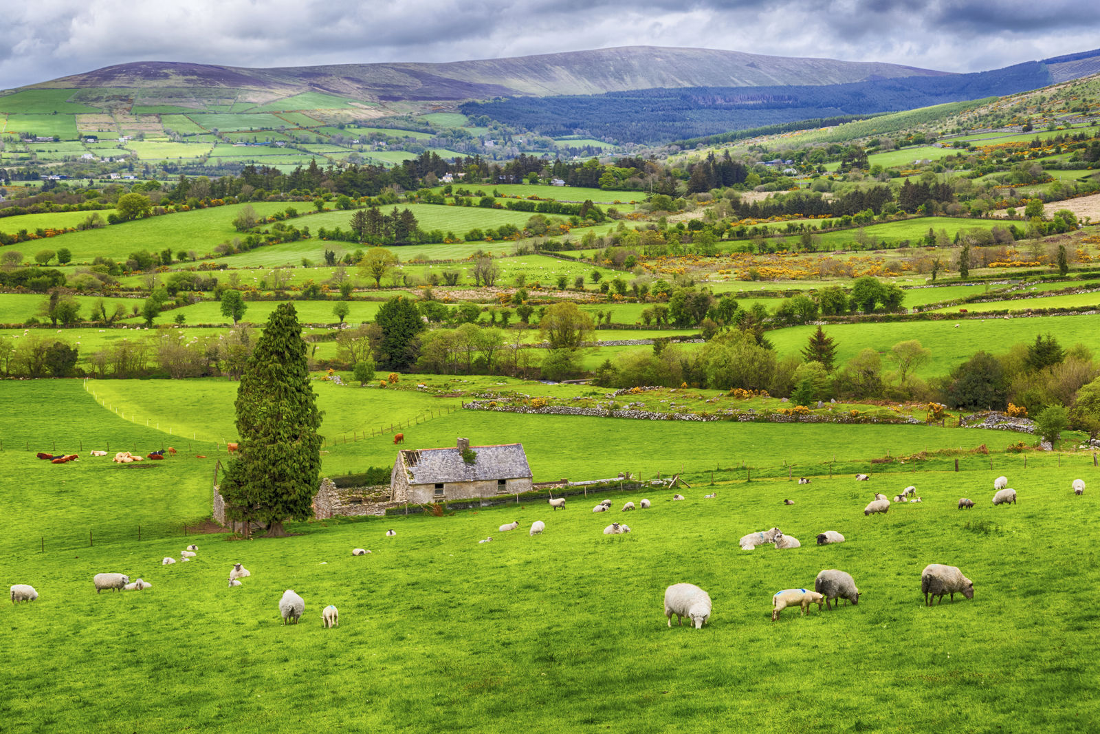 voyage irlande ecosse circuit