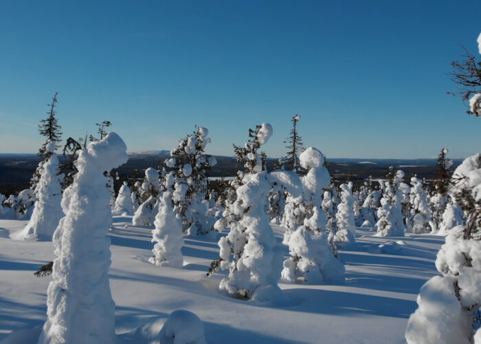 Magie de fin d’année : Laponie, aurores et Cap Nord