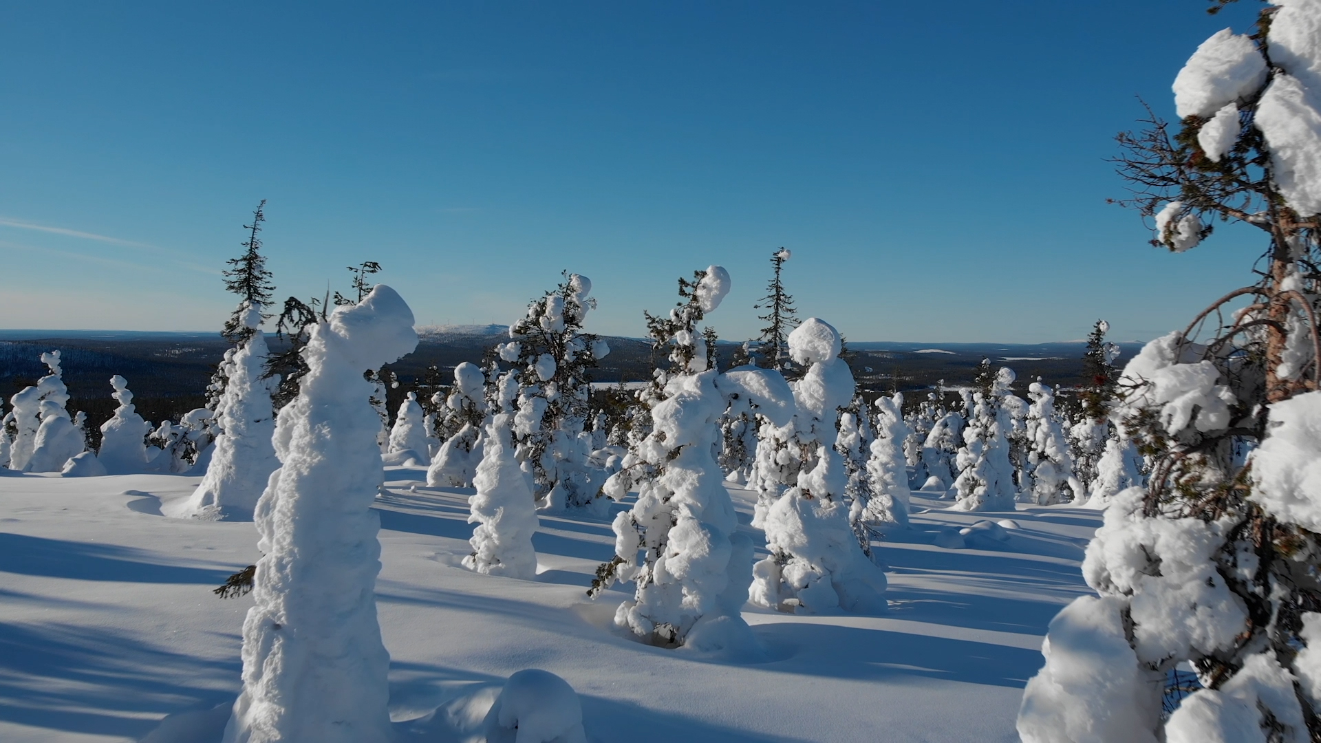 Magie de fin d’année : Laponie, aurores et Cap Nord