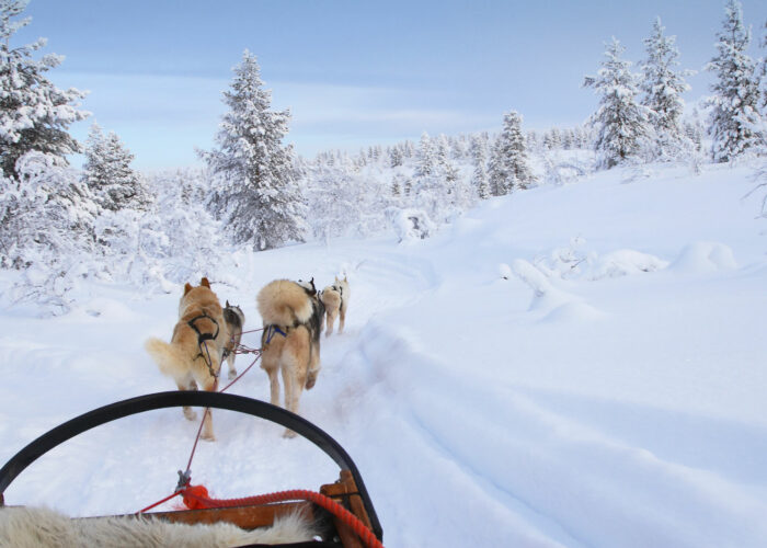 Voyage à la neige en vidéo - Le Voyaging by TUI