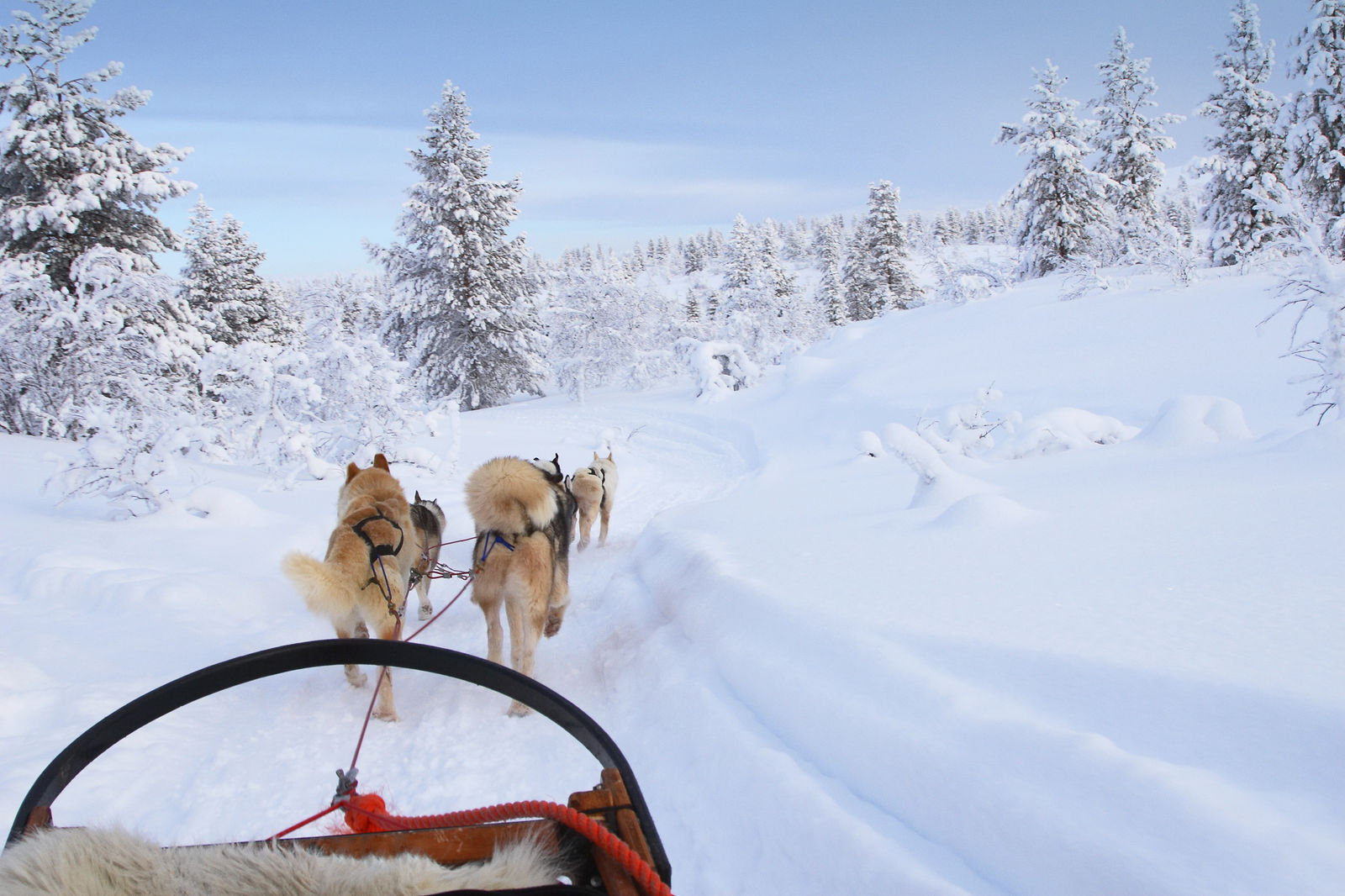 Voyage à la neige en vidéo - Le Voyaging by TUI