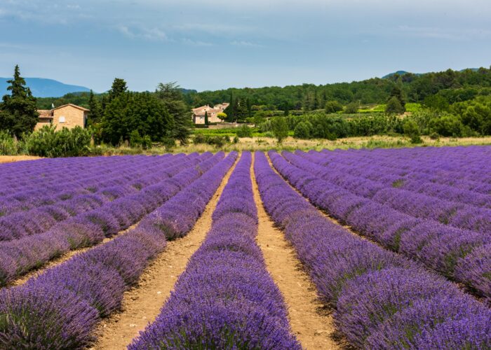 Circuit Nouvelles Frontières Provence et Luberon