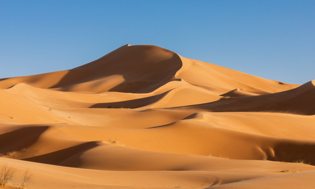 safari dans le désert