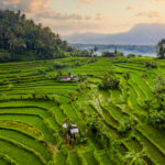 quand partir à bali