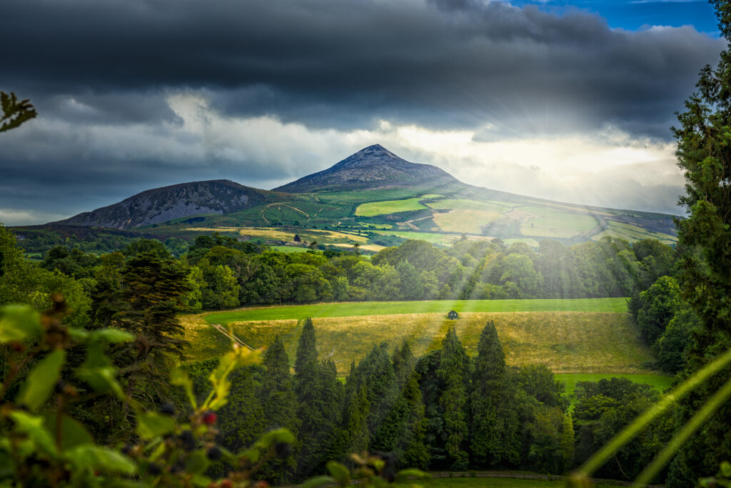 Montagnes de Wicklow