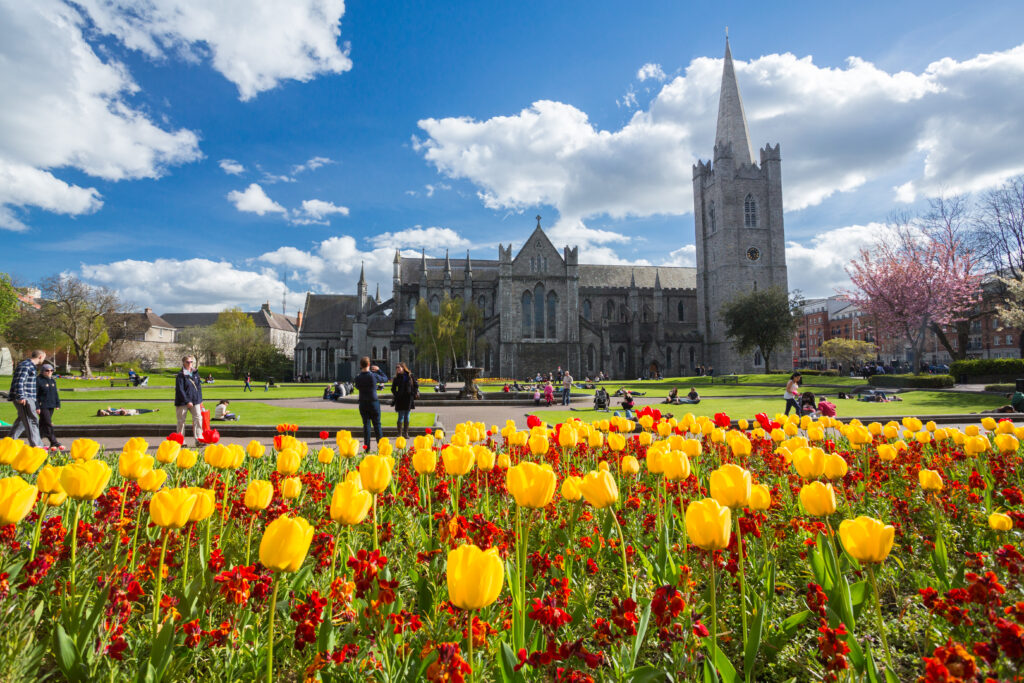 Cathédrale Saint-Patrick