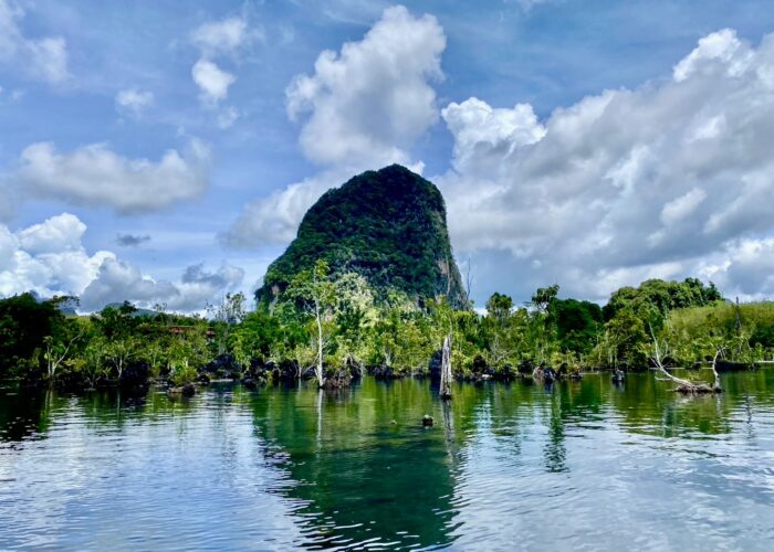 Krabi jungle