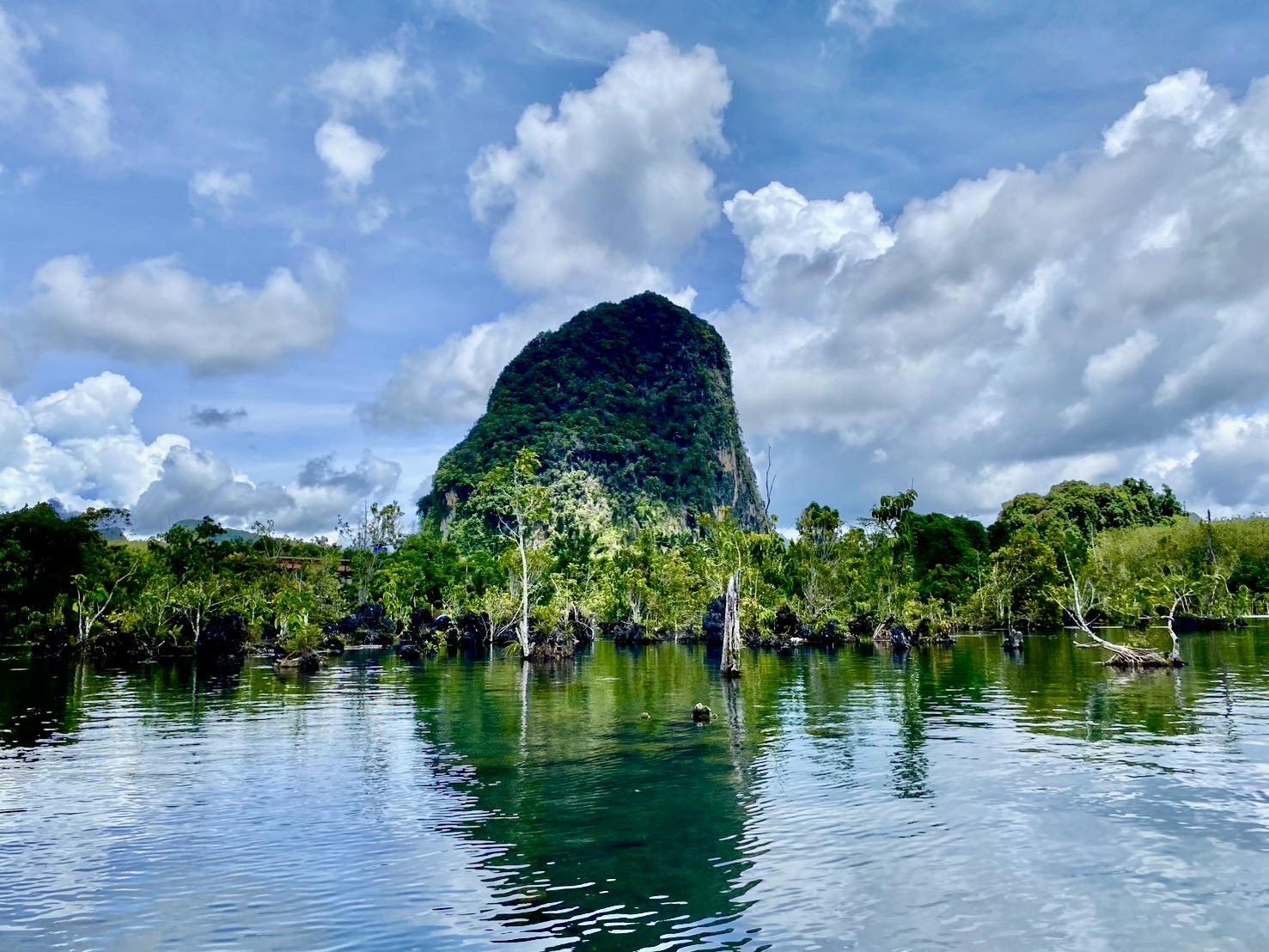 Krabi jungle