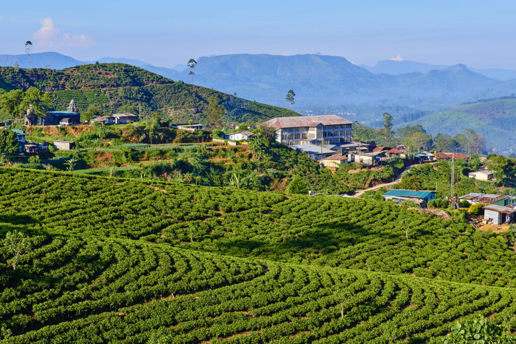 sri lanka en avril et octobre et novembre