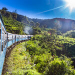 Quand partir au sri lanka ?