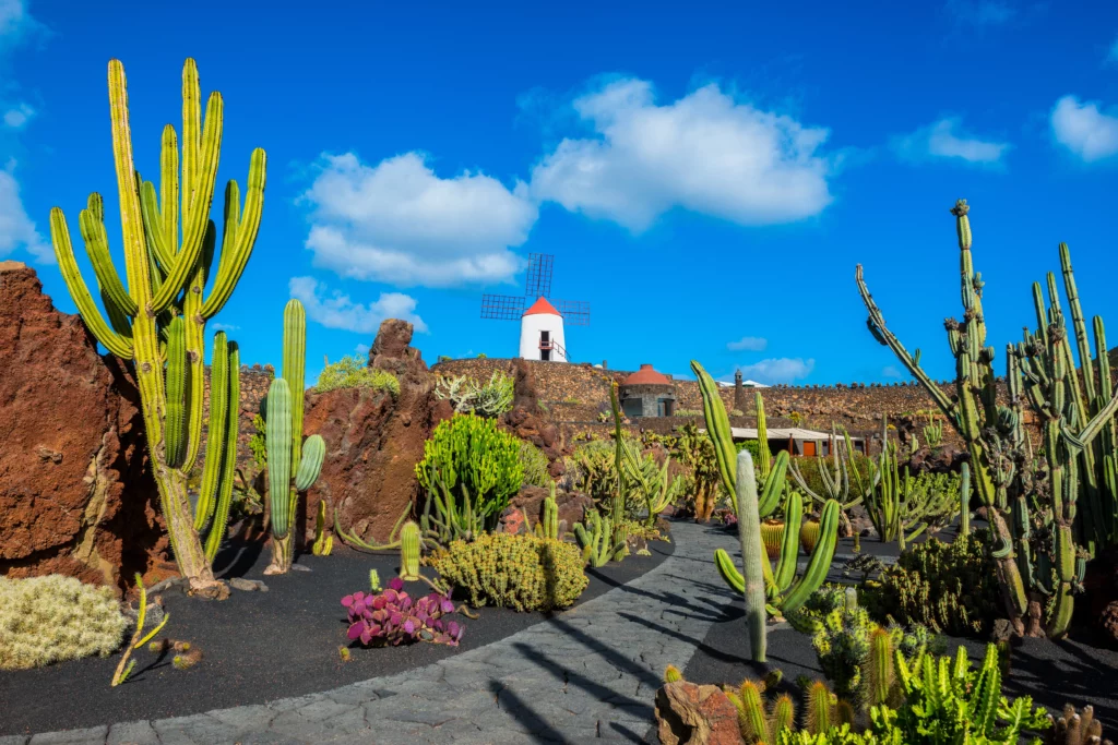 Jardin de Cactus - Lanzarote
