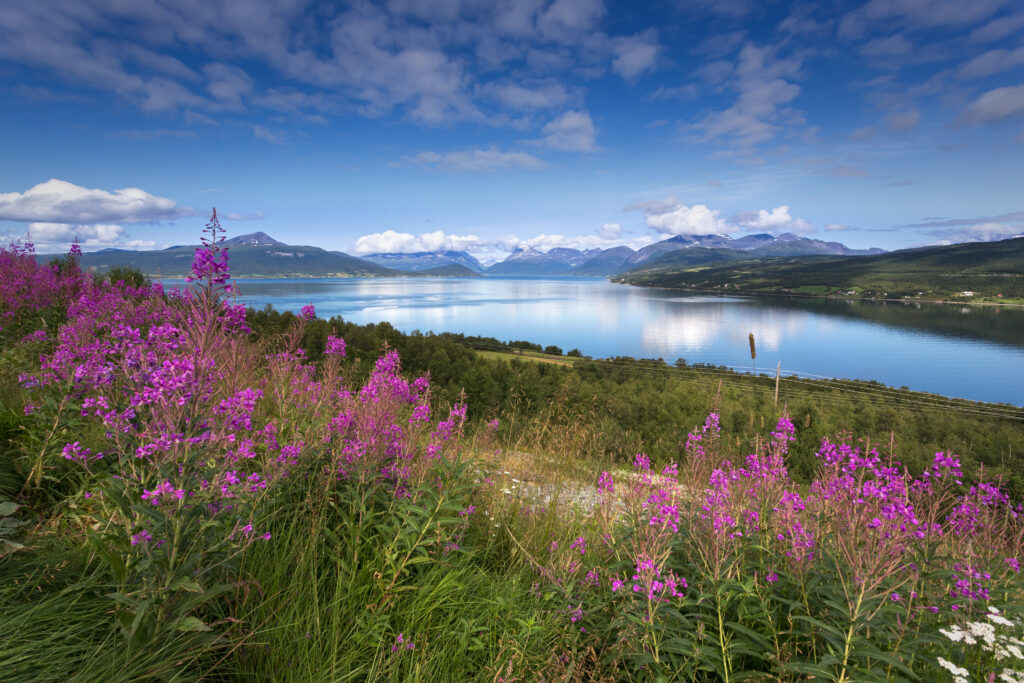 Circuit-Nouvelles-Frontieres-Cap-Nord