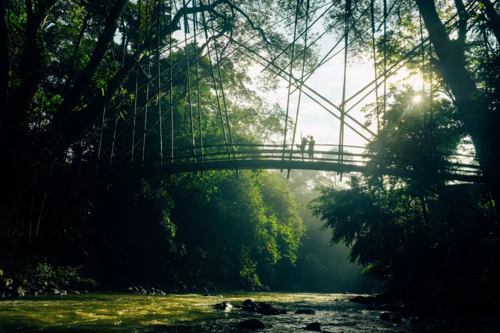 Taman Negara
